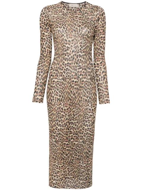 leopard-print knit midi dress by BLUMARINE