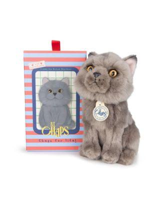 Bt Chaps Freddy The British Shorthair Floppy In Giftbox Plush 5-7 - Ages 5-7 by BON TON TOYS Bt Chaps Freddy The British Shorthair Floppy In Giftbox Plush 5-7 - Ages 5-7 by BON TON TOYS
