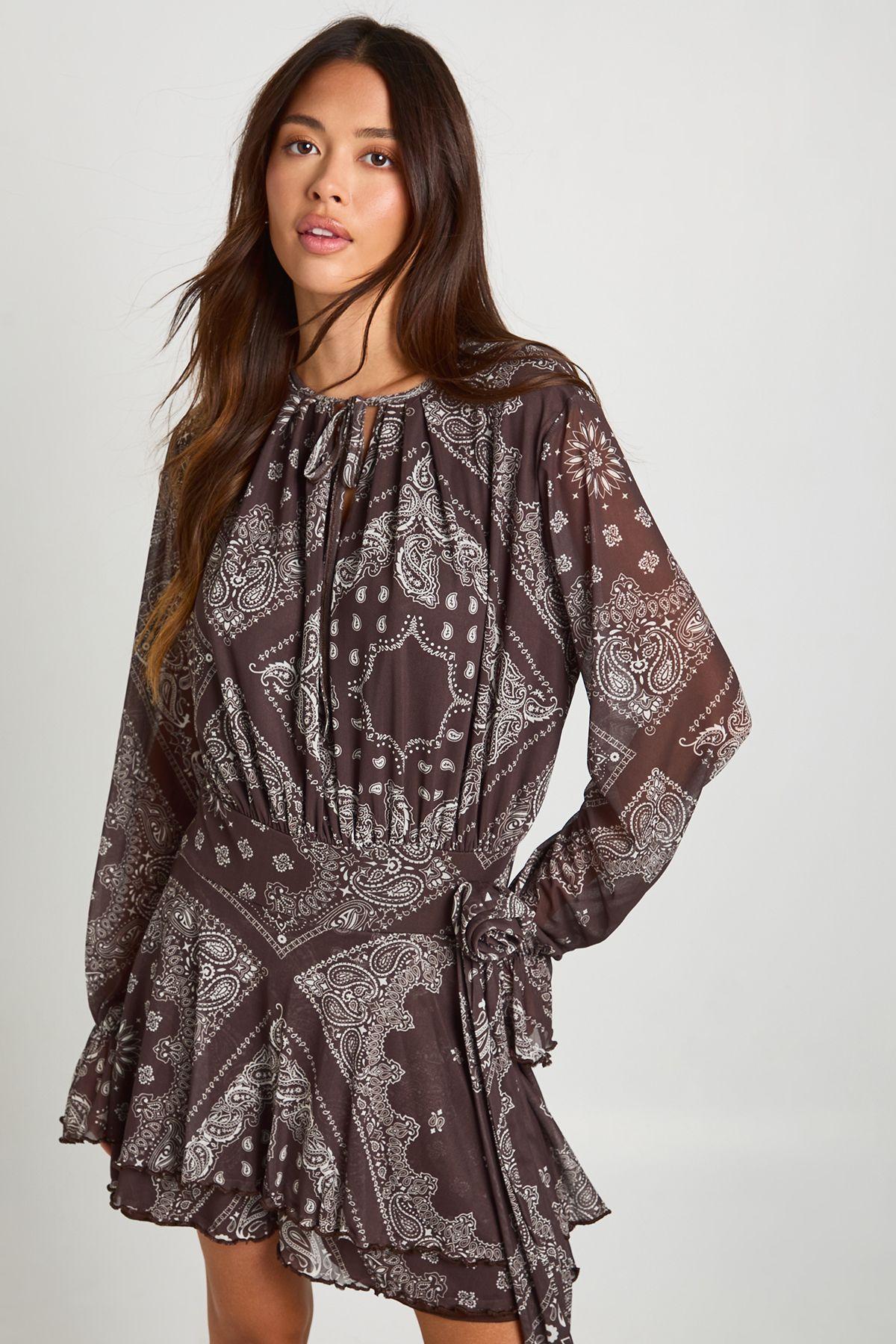 Paisley Printed Mesh Pleated Skater Dress by BOOHOO