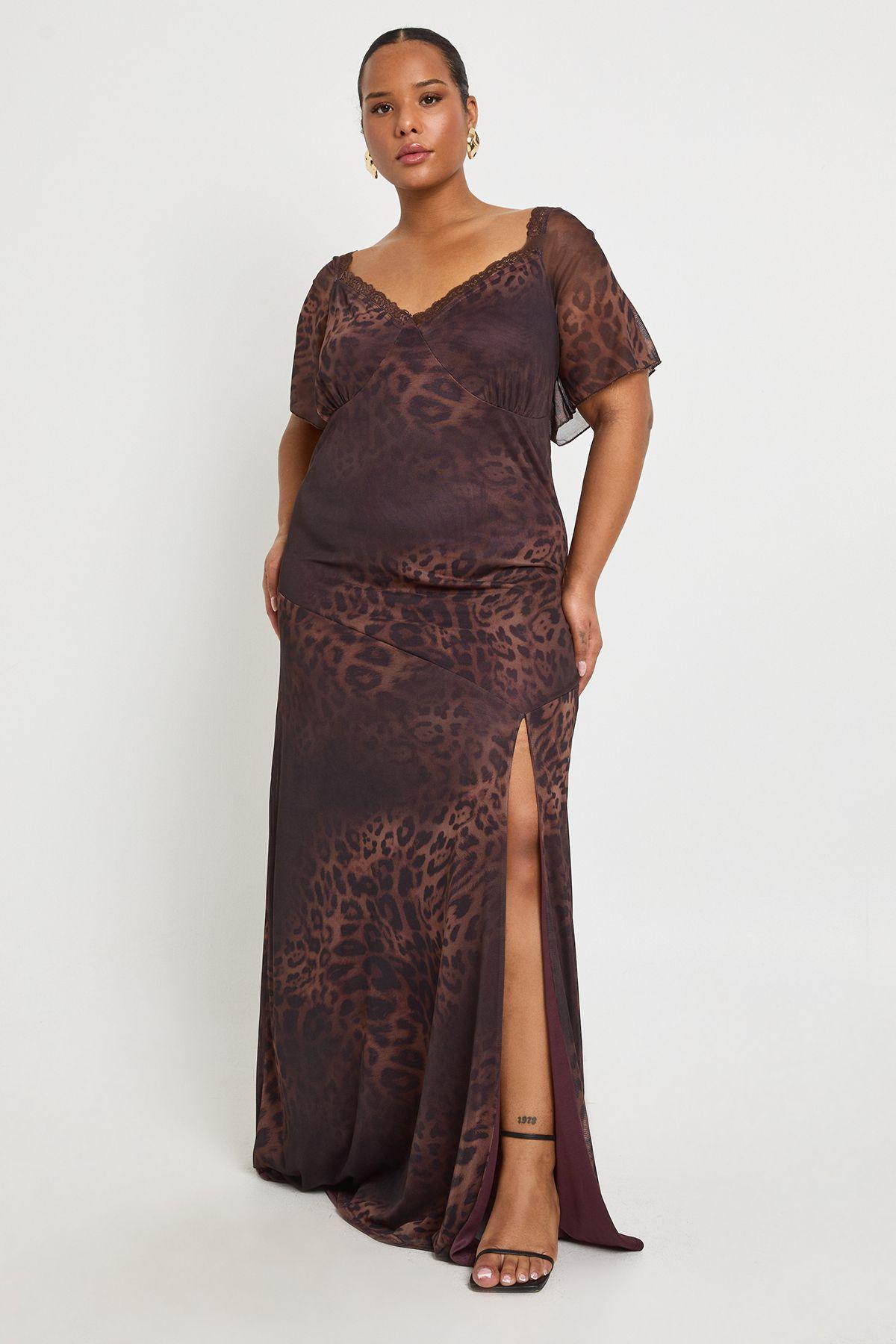 Plus Leopard Lace Trim Angel Sleeve Slip Dress by BOOHOO
