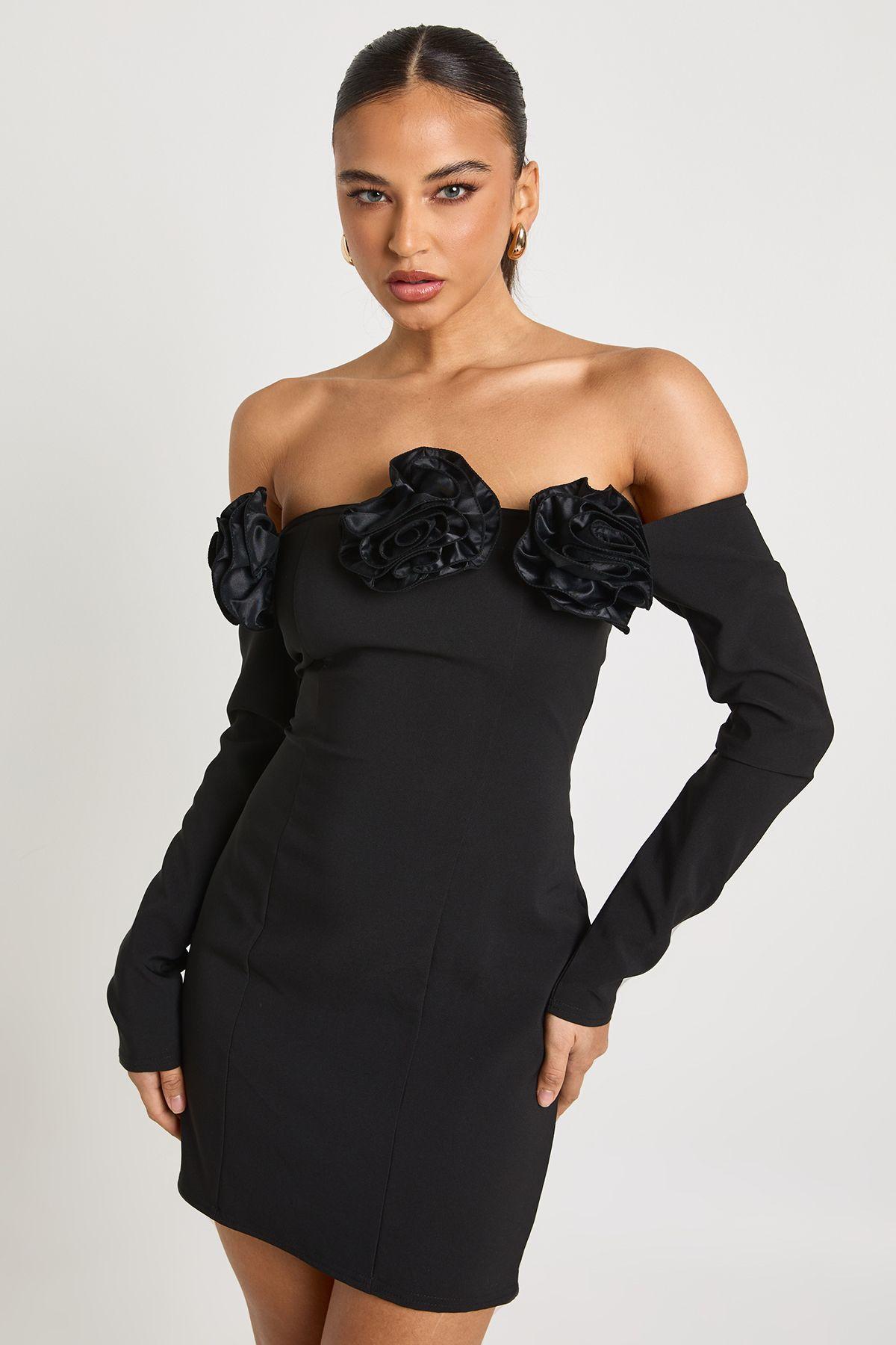 Rose Detail Long Sleeve Mini Dress by BOOHOO