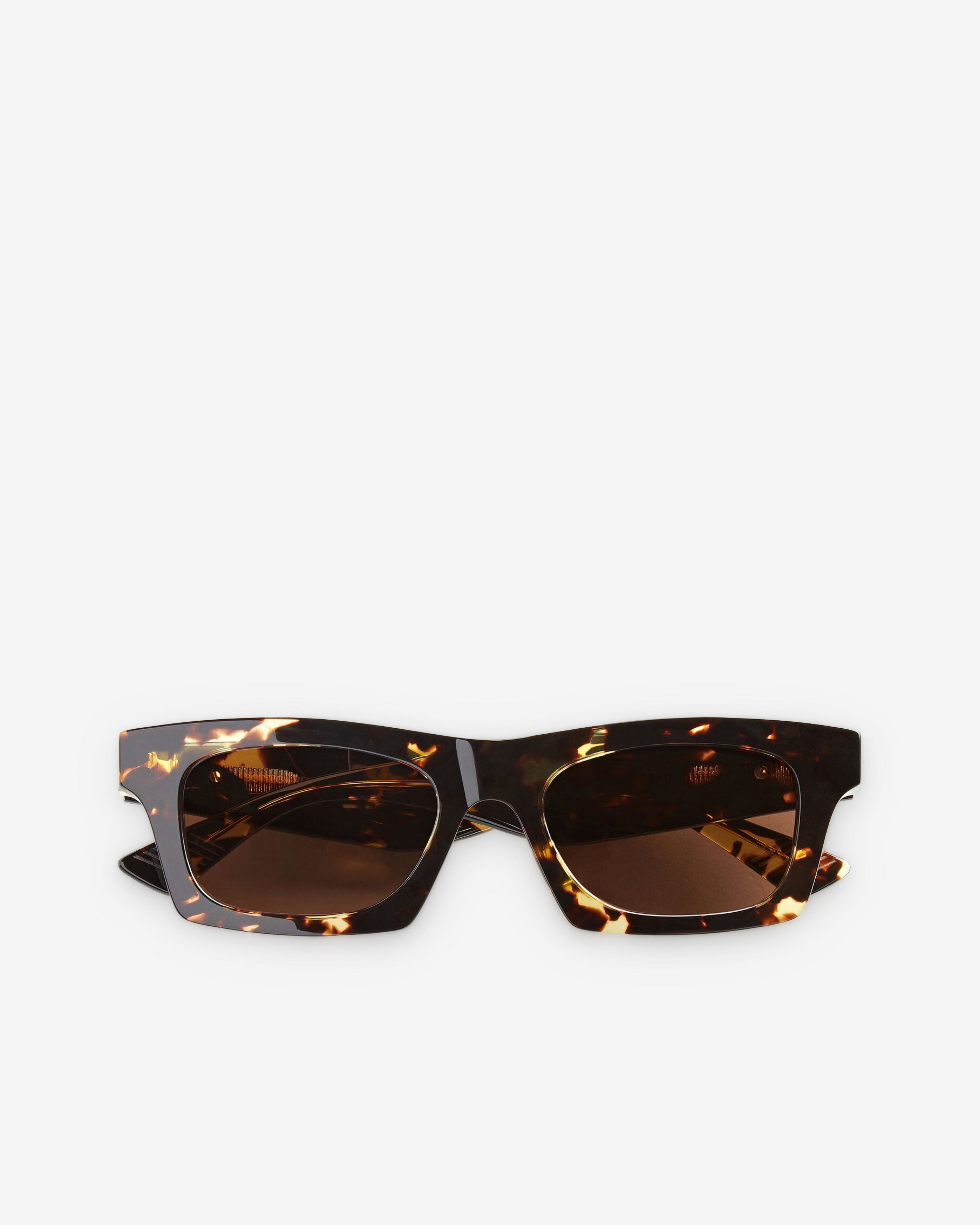 Bottega Veneta - Classic Squared Sunglasses - (Havana / Brown) by BOTTEGA VENETA