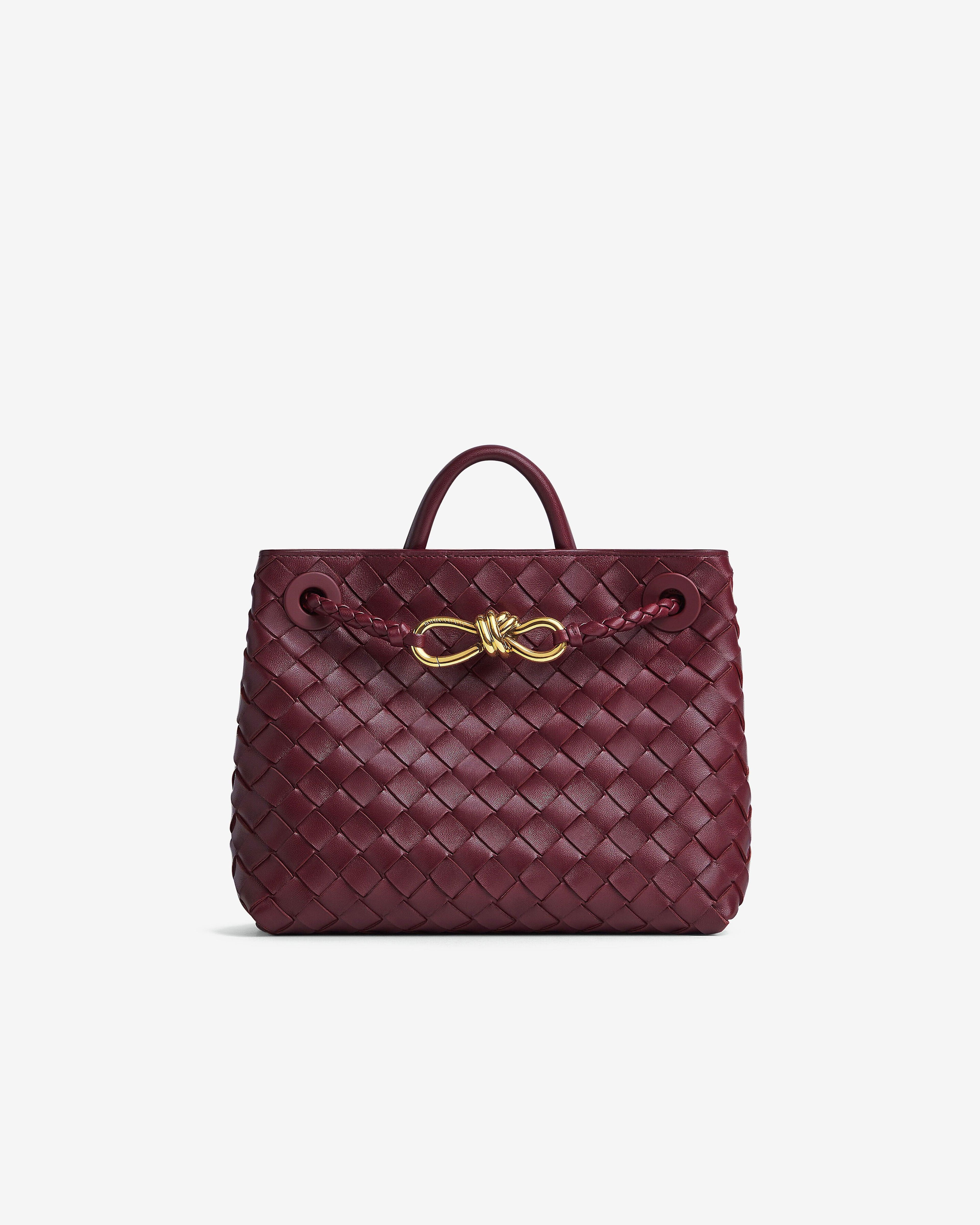 Bottega Veneta - Small Andiamo Bag - (Barolo) by BOTTEGA VENETA