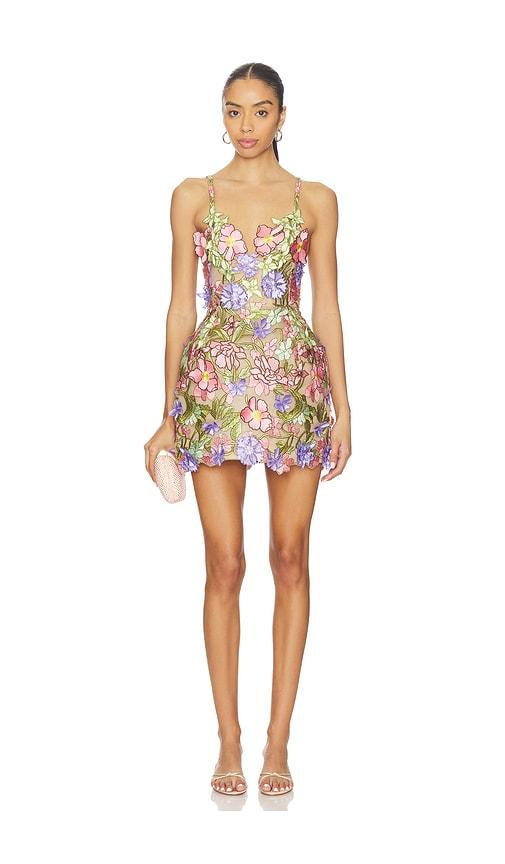 Bronx Banco Iris Floral Aria V-neck Mini Dress in Pink,Purple by BRONX BANCO
