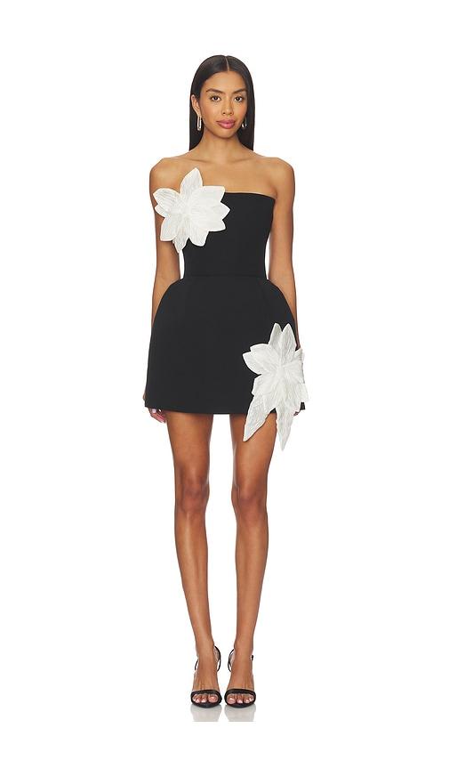 Bronx and Banco Jasmine Maraya Mini Dress in Black,White by BRONX&BANCO