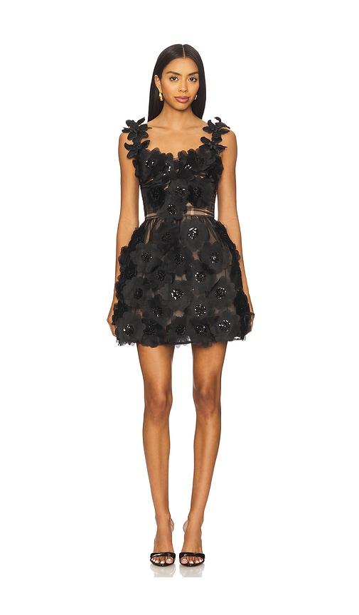 Bronx and Banco Rosalie Noir Mini Dress in Black by BRONX&BANCO