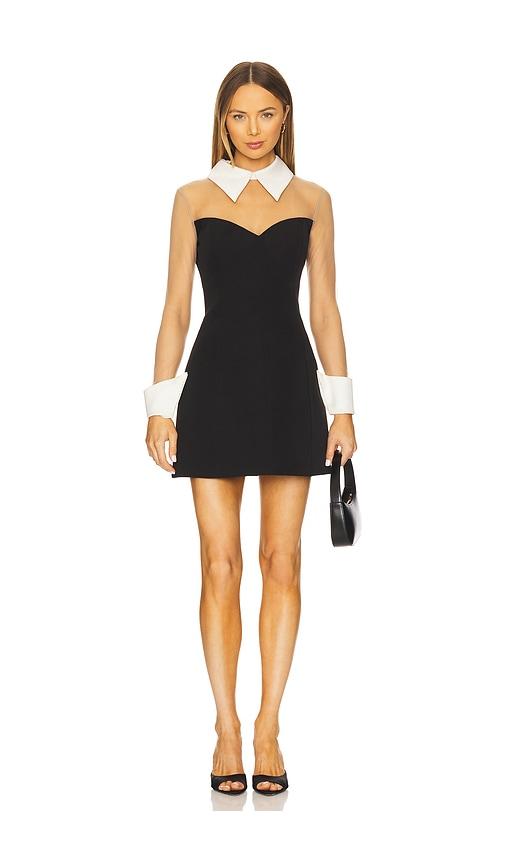 Bronx and Banco Wednesday Mesh Mini Dress in Black by BRONX&BANCO