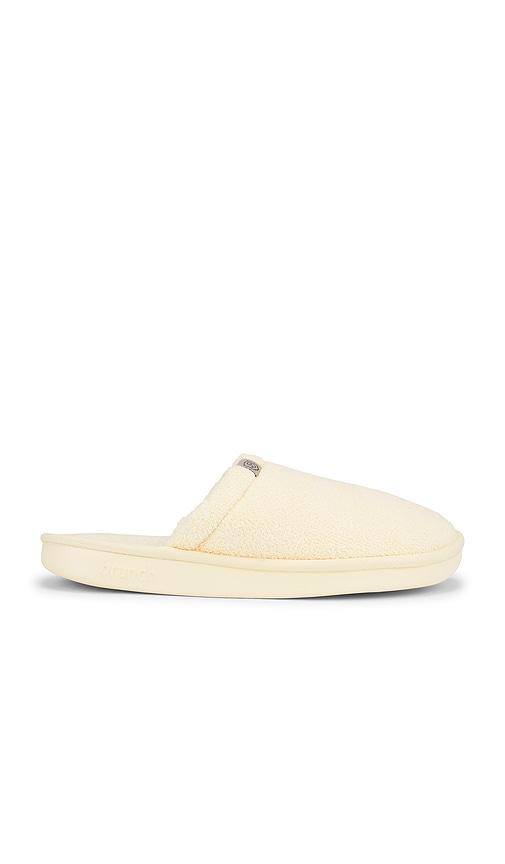 Brunch Essential Spring in Yellow by BRUNCH