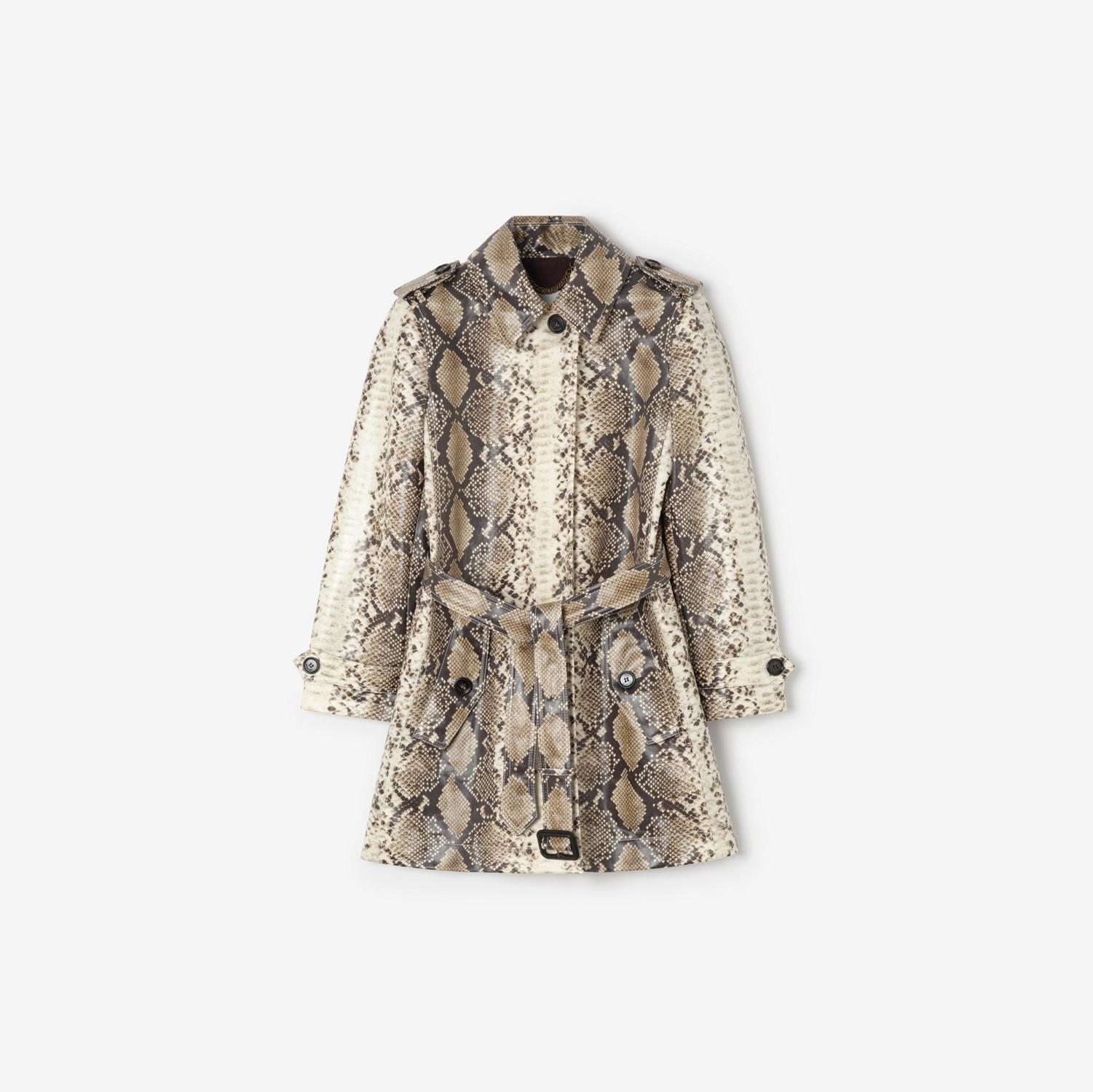 Short Python Print Coated Cotton Stonehaven Car Coat by BURBERRY