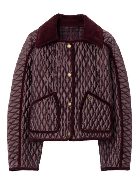 quilted corduroy-trimmed puffer jacket by BURBERRY