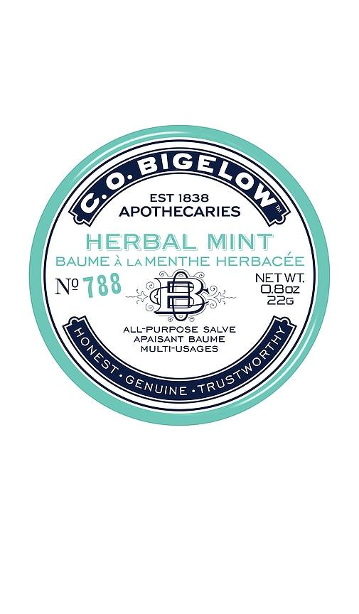 C.O. Bigelow Herbal Mint Salve Tin in Beauty by C.O. BIGELOW