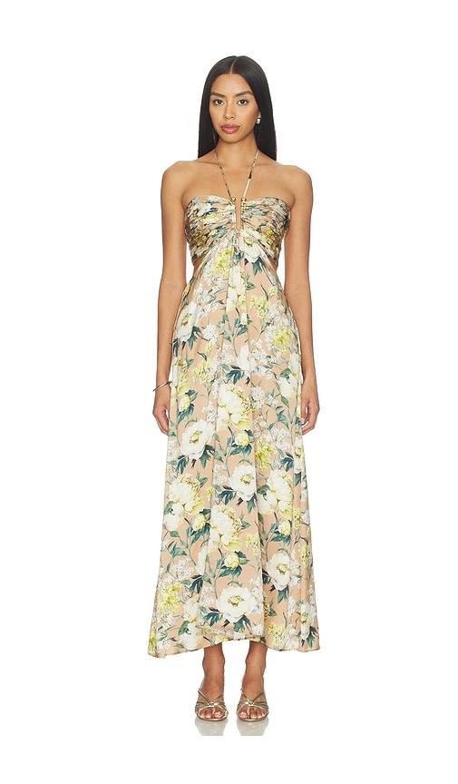 CAMI NYC Calliope Maxi Dress in Tan,White by CAMI NYC