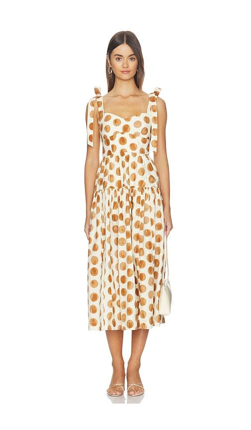 Cara Cara Faiza Dress in Cream,Brown by CARA CARA