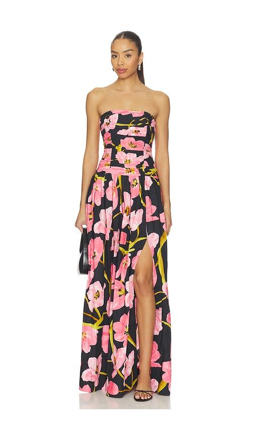 Cara Cara Montreal Gown in Black,Pink by CARA CARA