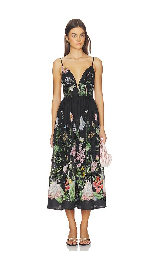 Cara Cara Pero Midi Dress in Black by CARA CARA