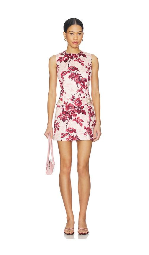 Cara Cara Posie Dress in Pink by CARA CARA
