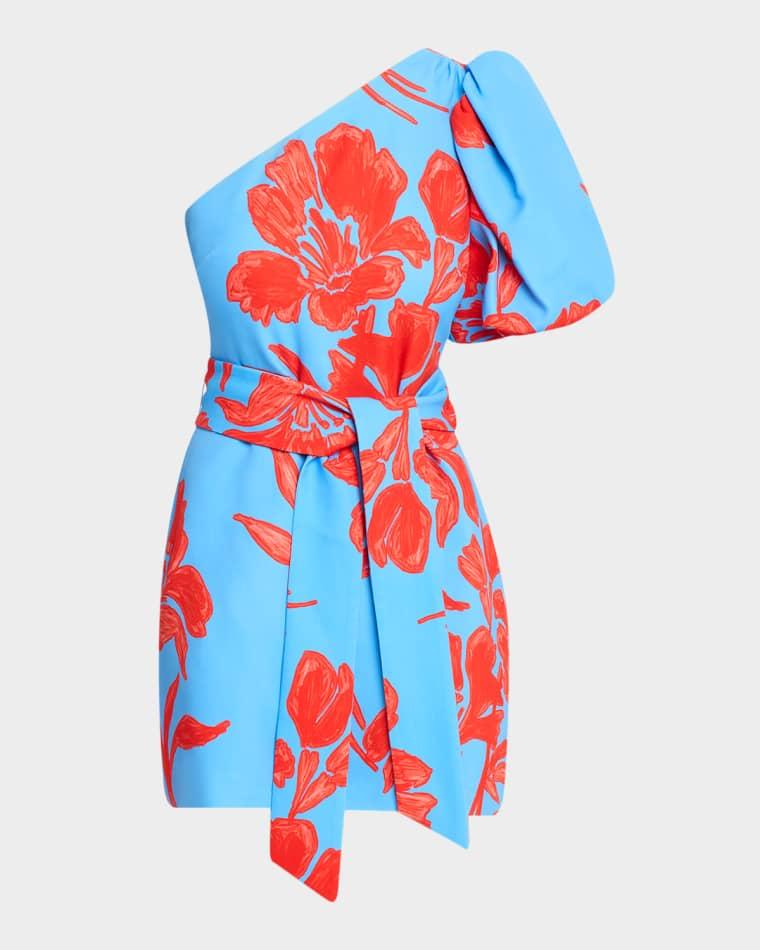 Lucia One-Shoulder Mini Dress by CARA CARA