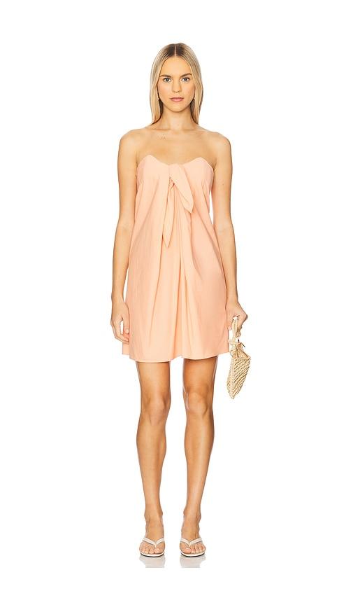 CAROLINE CONSTAS Kaia Mini Dress in Peach by CAROLINE CONSTAS