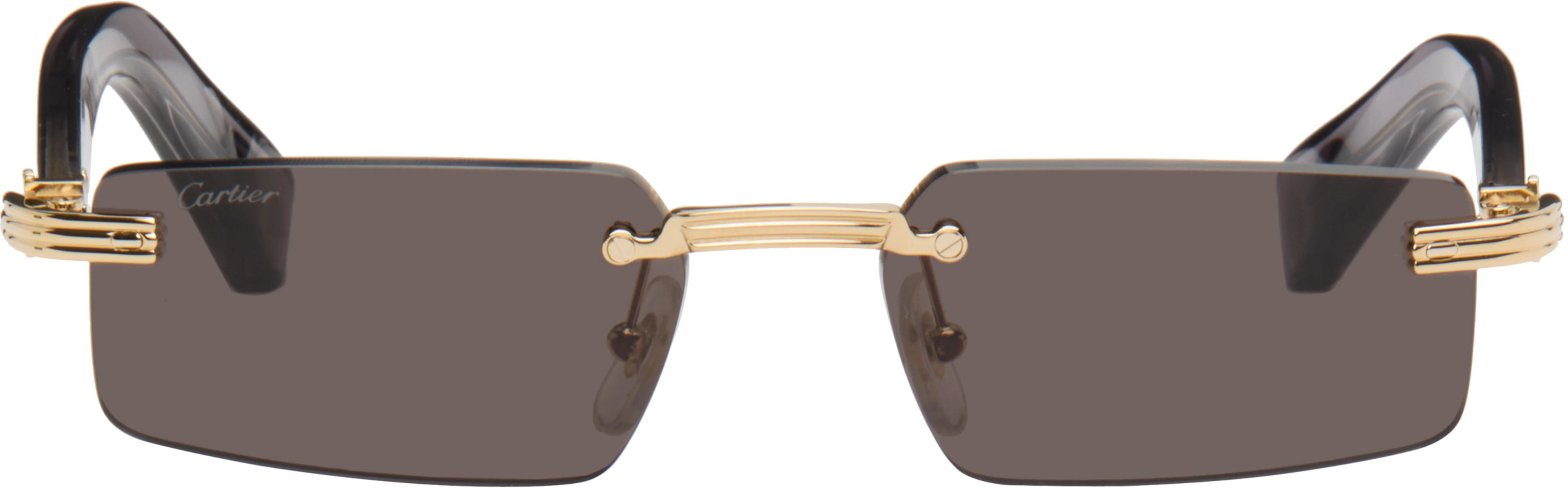 Gray CT0537S Sunglasses by CARTIER