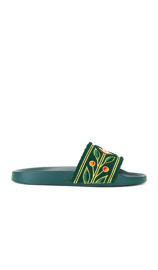 Casablanca Embroidered Terry Slider in Green by CASABLANCA