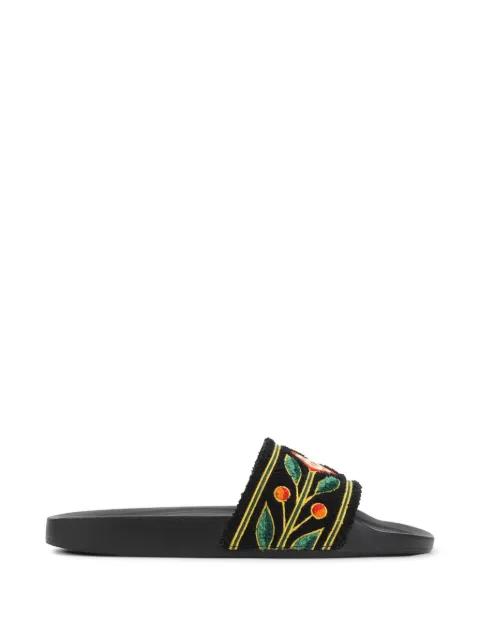 Laurel Terry slides by CASABLANCA