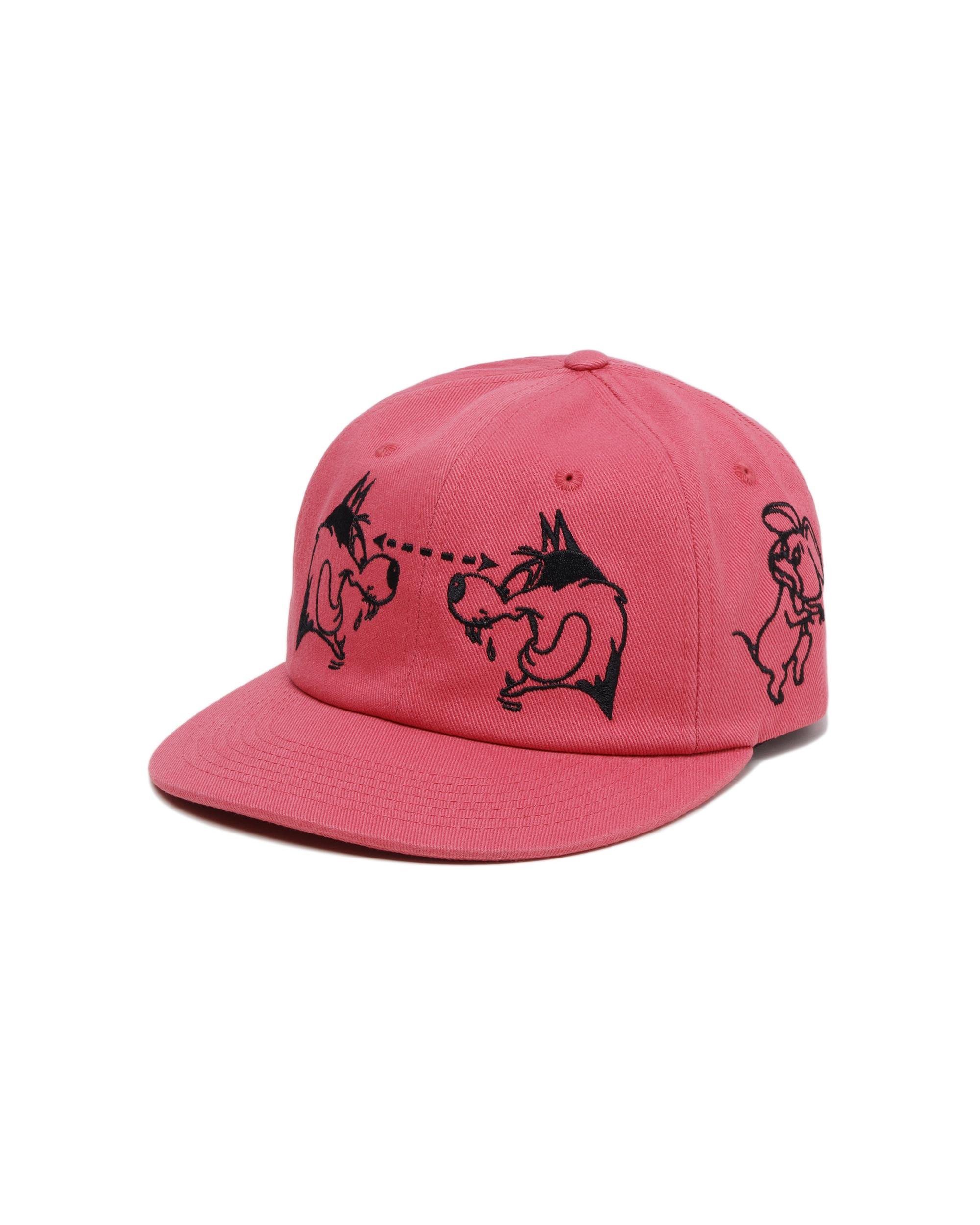 Embroidered cap by CAV EMPT