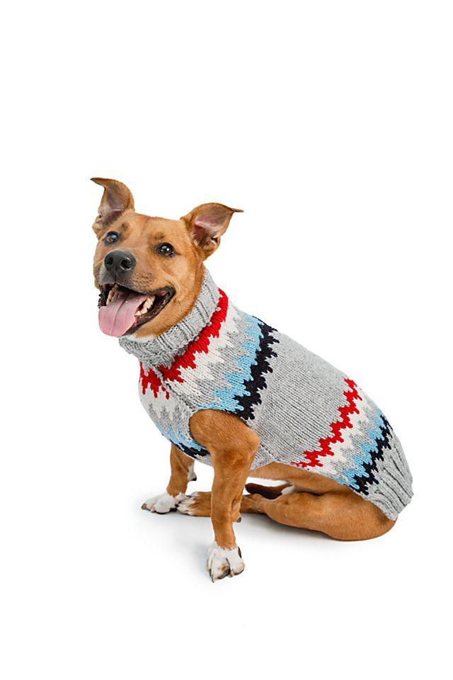 Chilly Dog Chevron Dog Sweater by CHILLY DOG | FREE PEOPLE