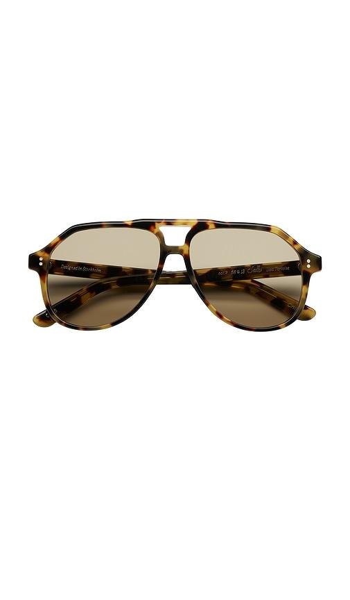 Chimi Sally Sunglasses in Black by CHIMI