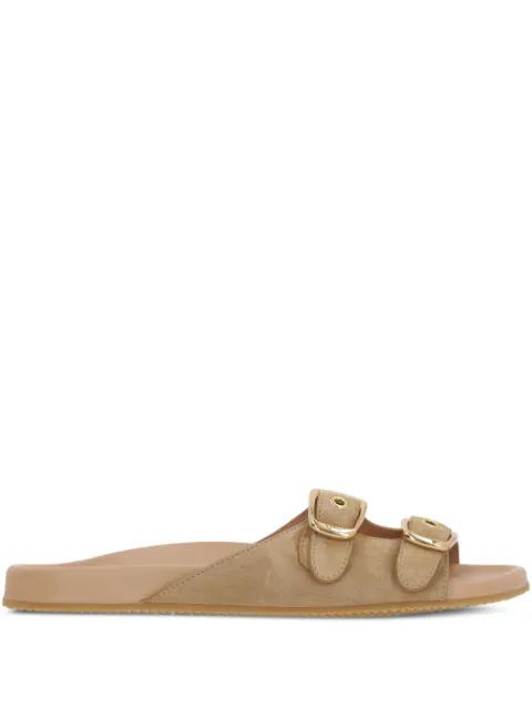 Polly slides by CHLOE