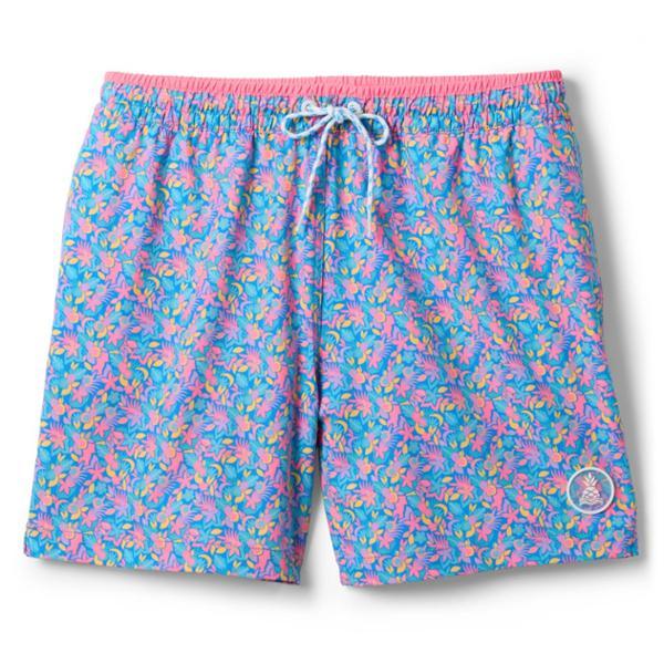 Stretch 5.5" Lined Swim Trunks by CHUBBIES