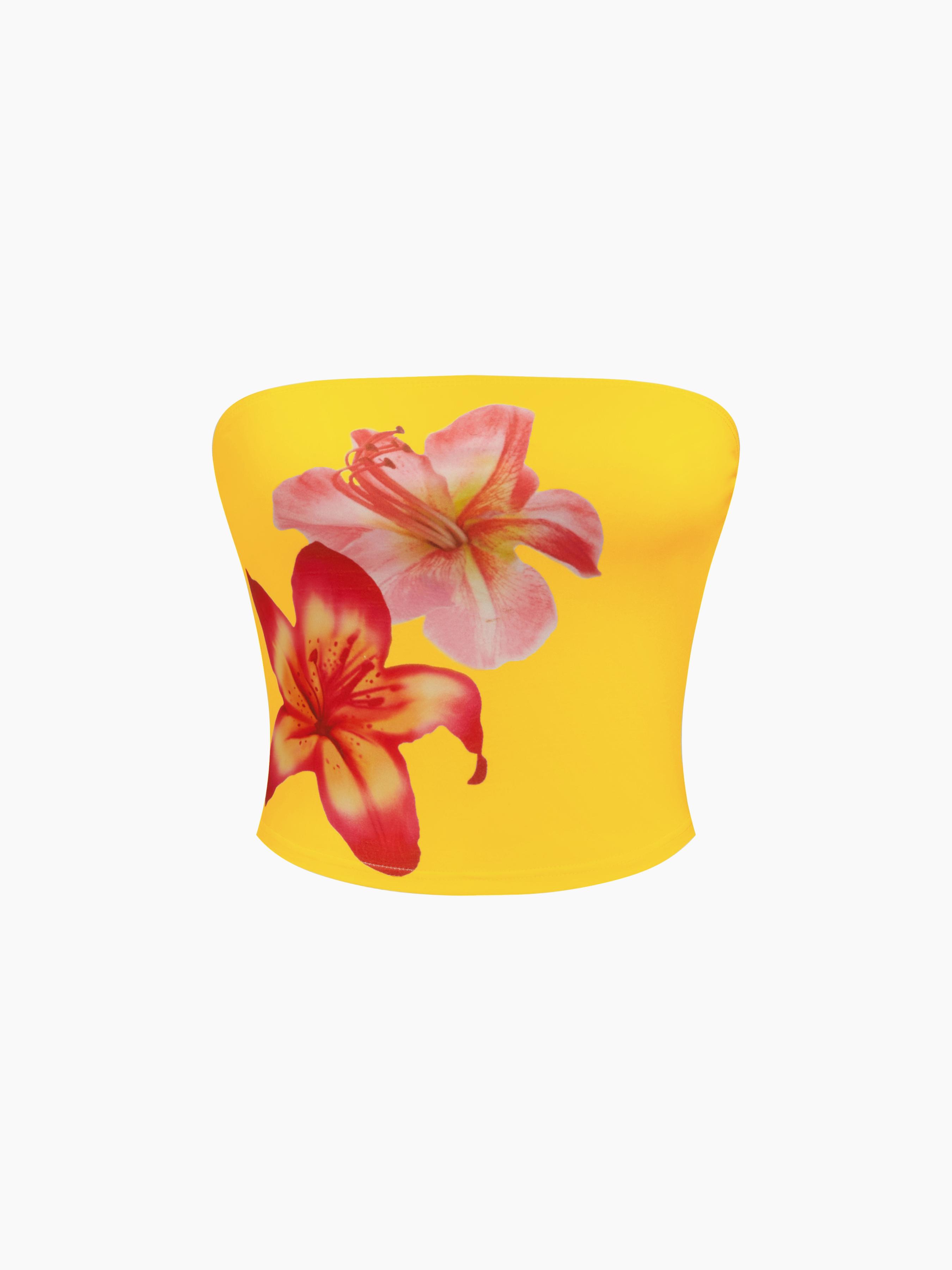 Bandeau Floral Graphic Crop Top by CIDER