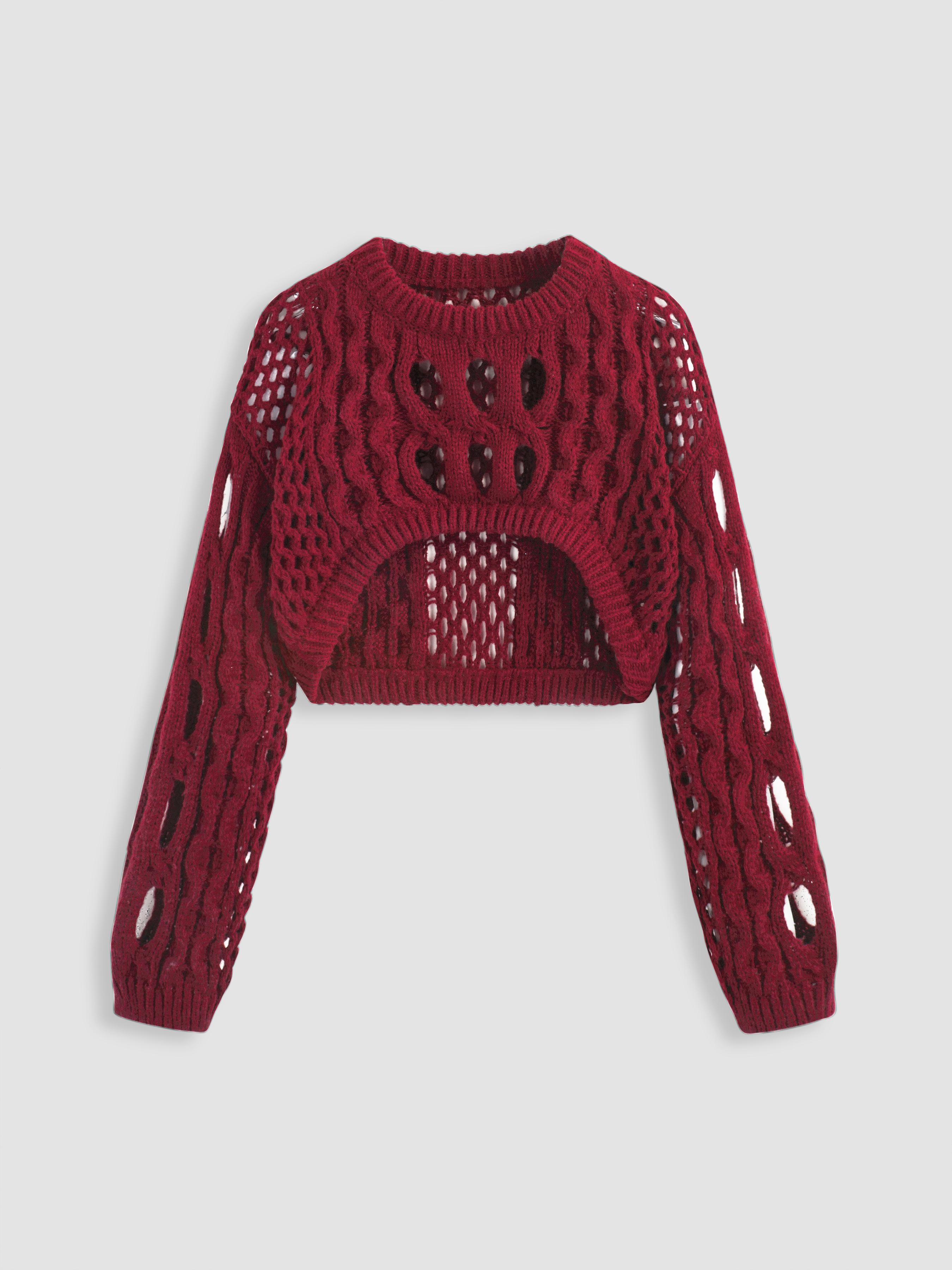 Knit Round Neckline Hollow Out Long Sleeve Crop Top by CIDER