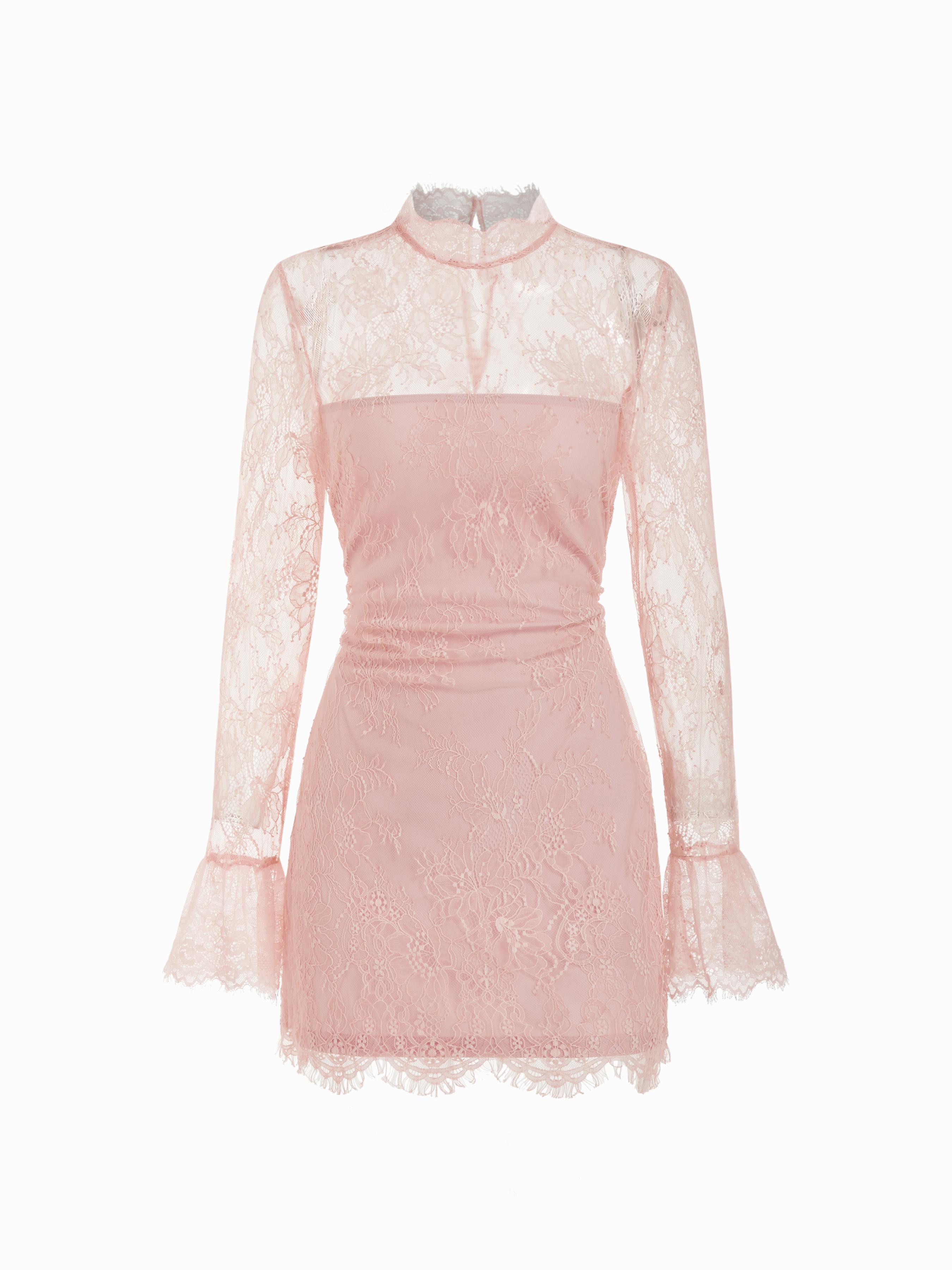 Lace Stand Collar Long Sleeve Straight Mini Dress by CIDER