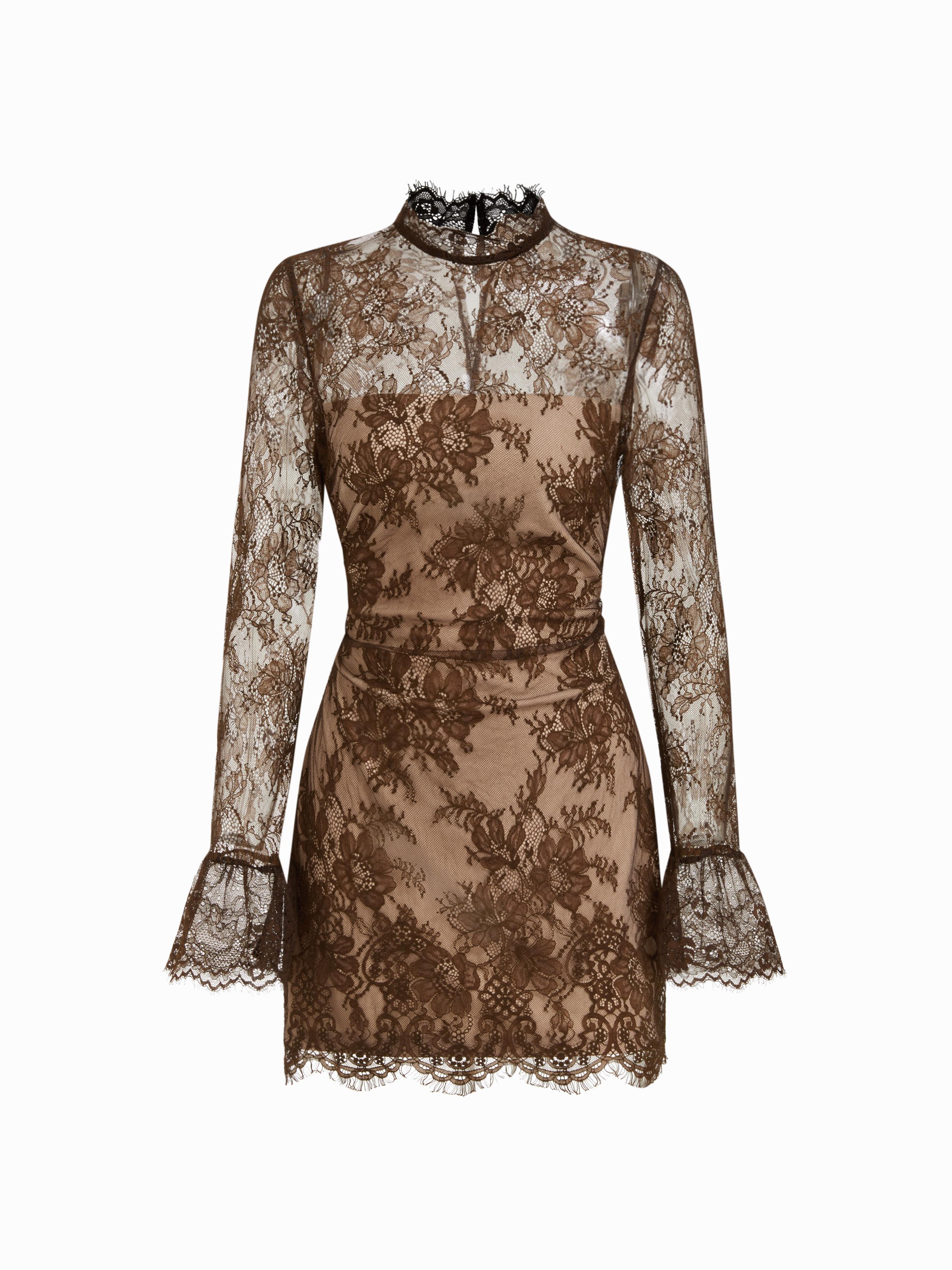 Lace Stand Collar Long Sleeve Straight Mini Dress by CIDER