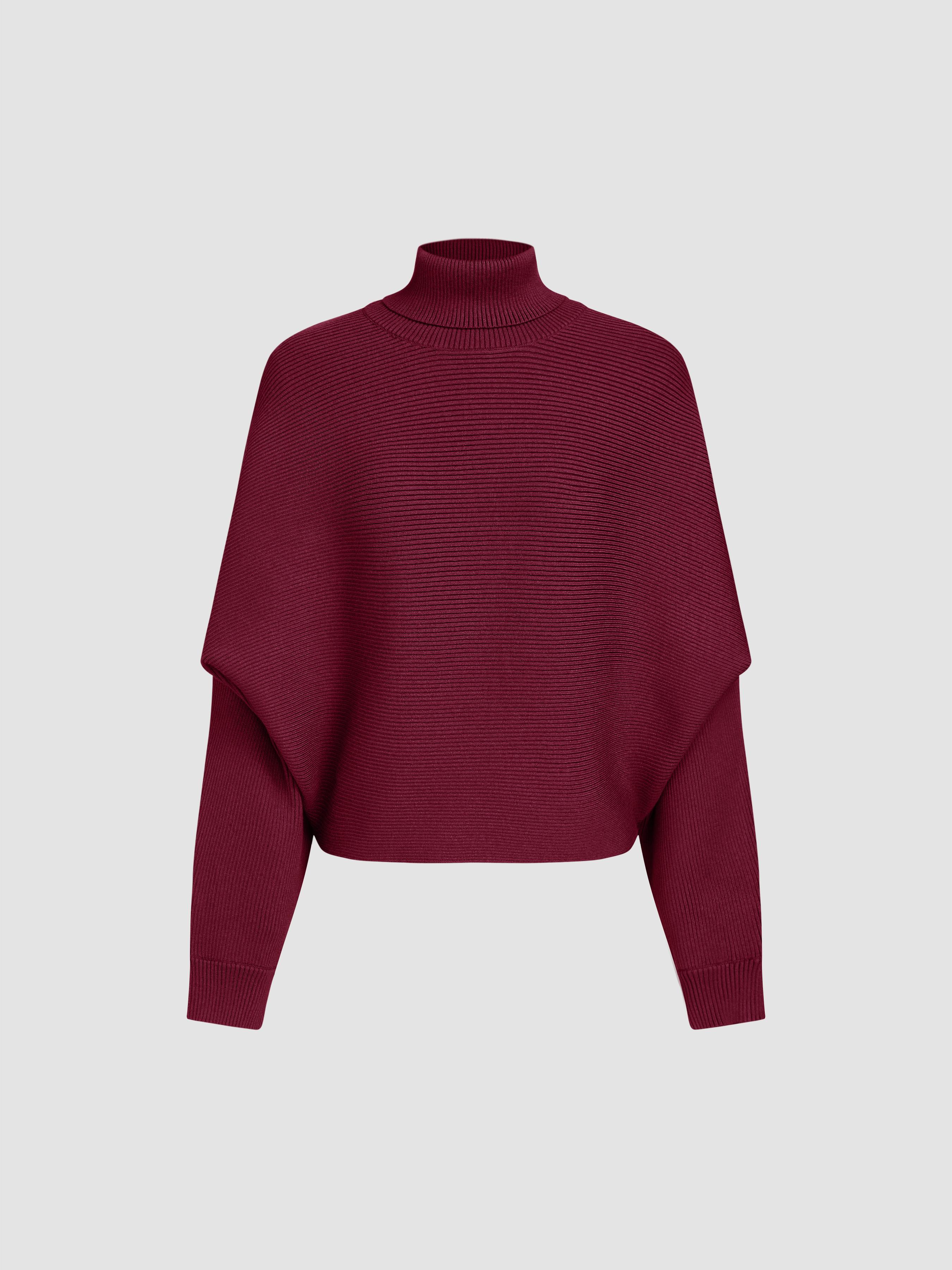 Solid Turtleneck Sweater by CIDER