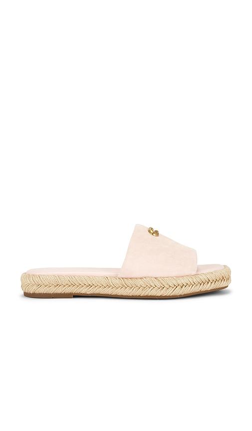Coach Holly Sandal in Pink by COACH
