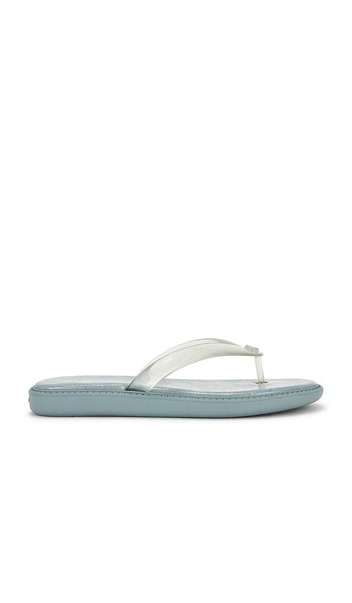 Coach Jelly Flip Flop Sandal in Baby Blue by COACH