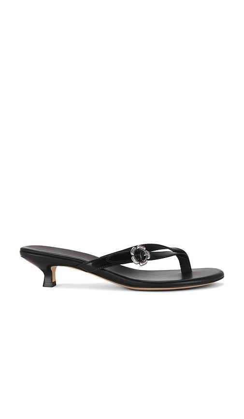 Coach Tea Rose Thong Kitten Heel in Black by COACH