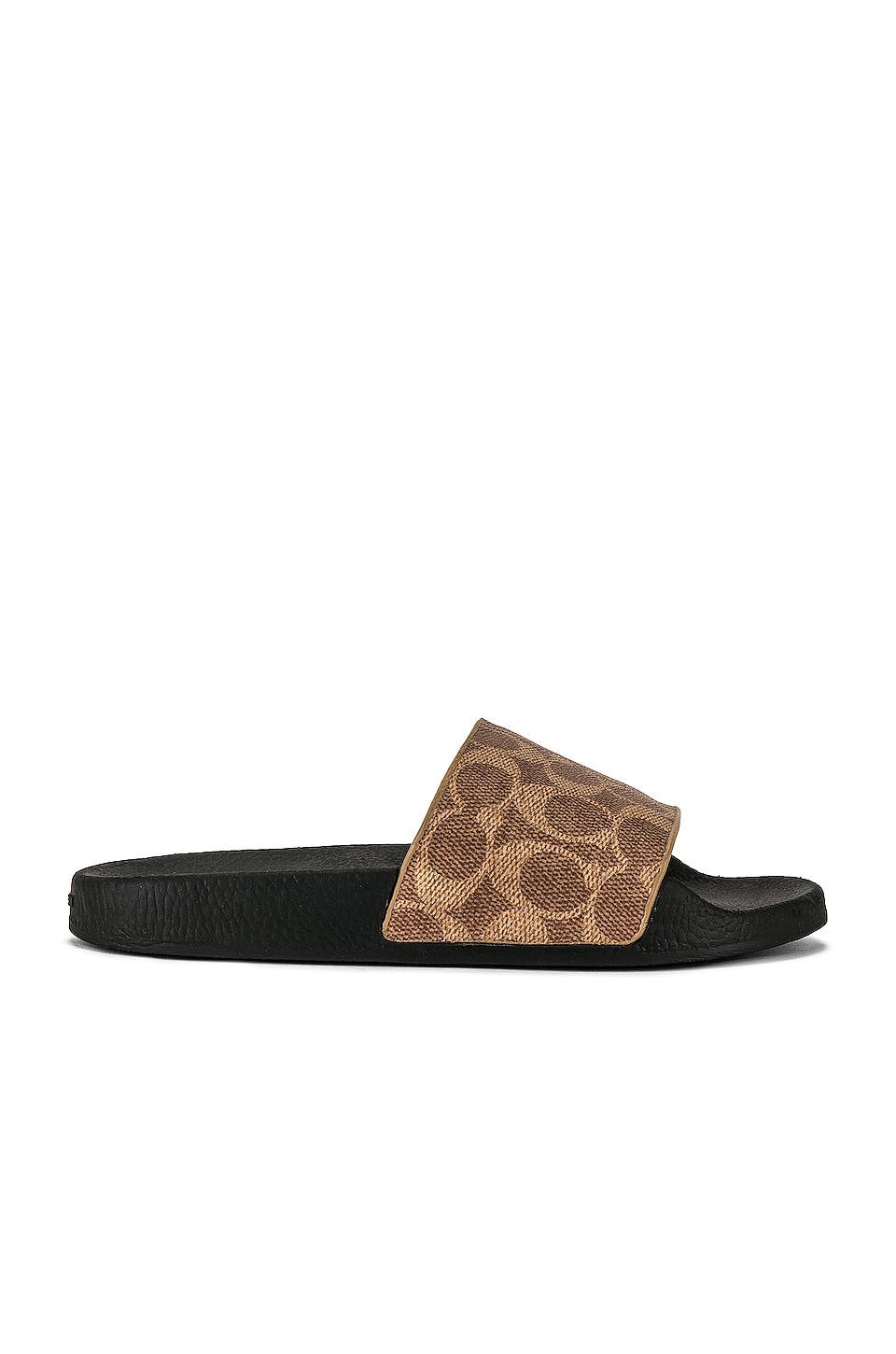 Coach Udele Slide in Tan by COACH