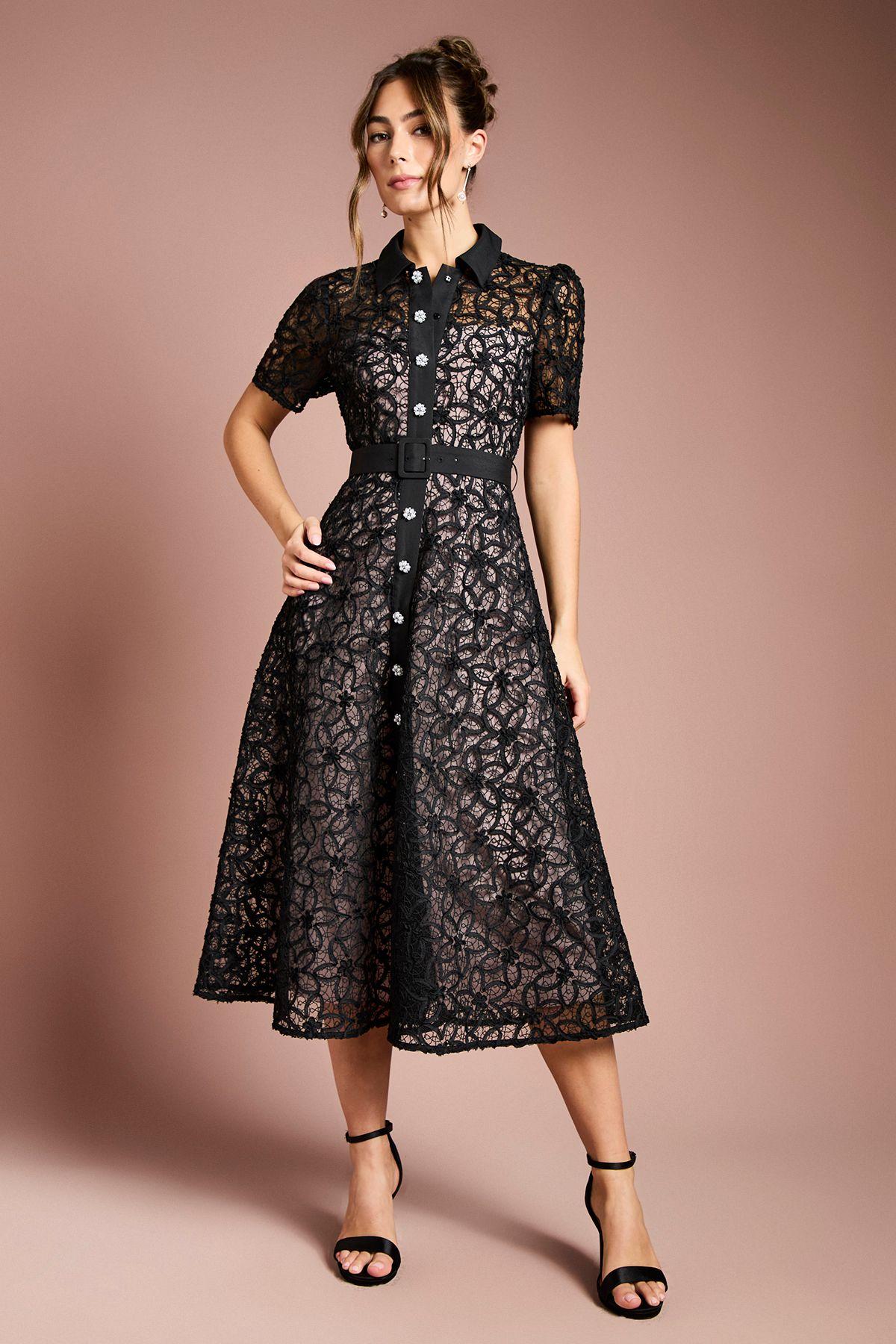 Floral Lace Collared Midi Dress by COAST
