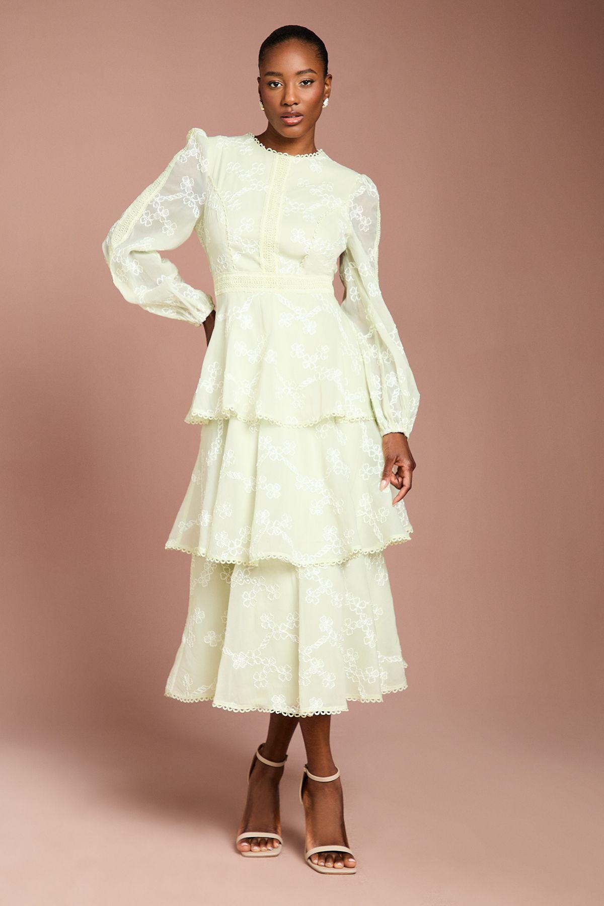 Lace Trim Embroidered Mesh Midi Dress by COAST Lace Trim Embroidered Mesh Midi Dress by COAST