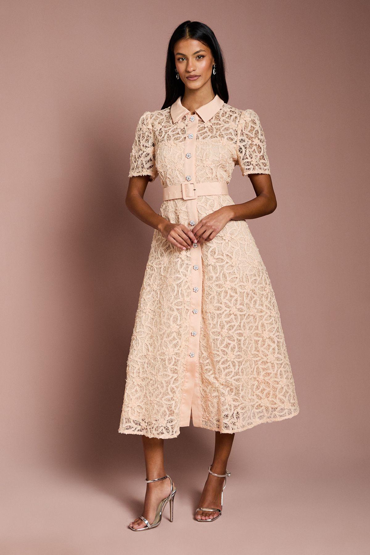 Petite Floral Lace Collared Midi Dress by COAST