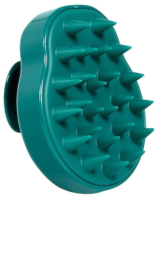 Coco & Eve Hair Shampoo Brush in Beauty by COCO&EVE