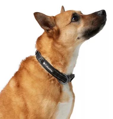 Columbia Silver Ridge Dog Collar by COLUMBIA
