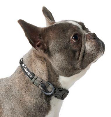 Columbia Silver Ridge Dog Collar by COLUMBIA