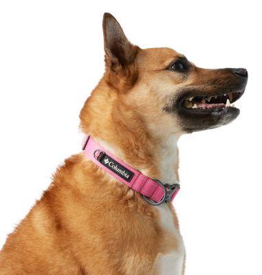 Columbia Silver Ridge Dog Collar by COLUMBIA