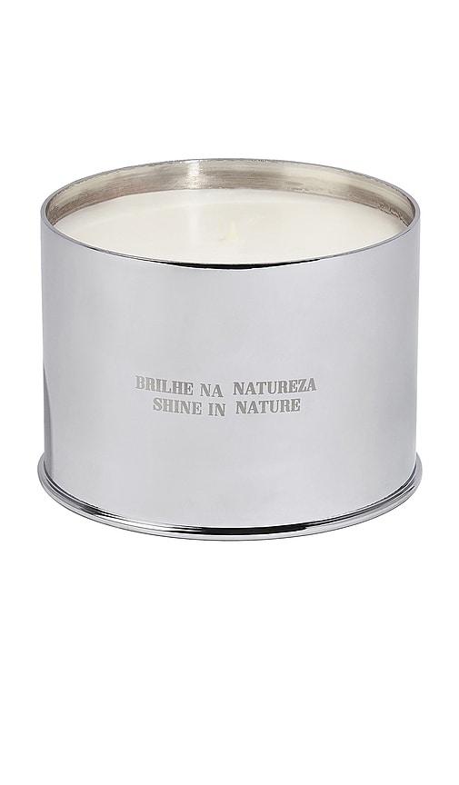 Costa Brazil Vela Jungle Candle in Beauty by COSTA BRAZIL
