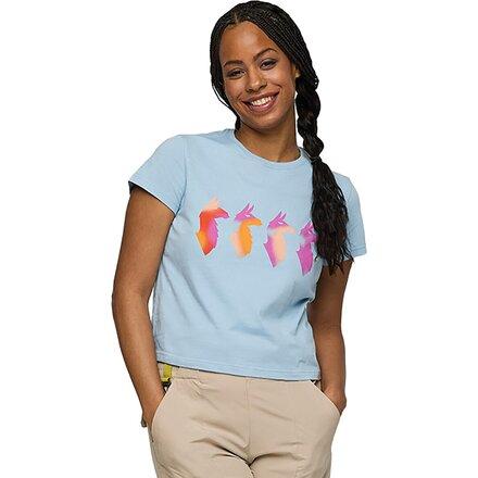 Cuatro Bitmap T-Shirt by COTOPAXI