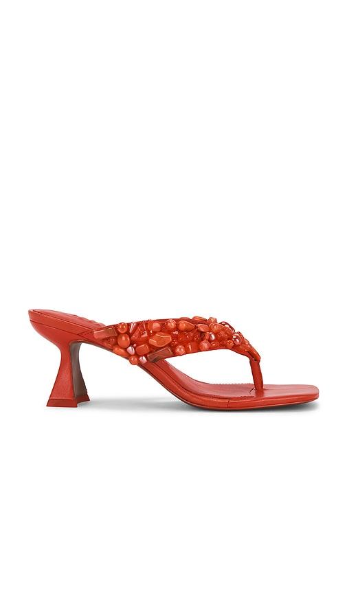 Cult Gaia Abi Sandal in Coral by CULT GAIA