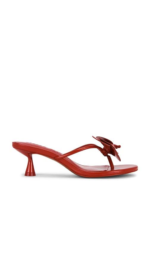 Cult Gaia Addison Sandal in Red by CULT GAIA